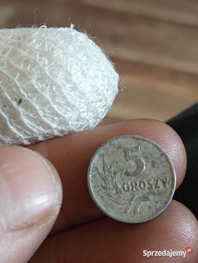 Sprzedam drugie 5v gr 1961r sprzedam