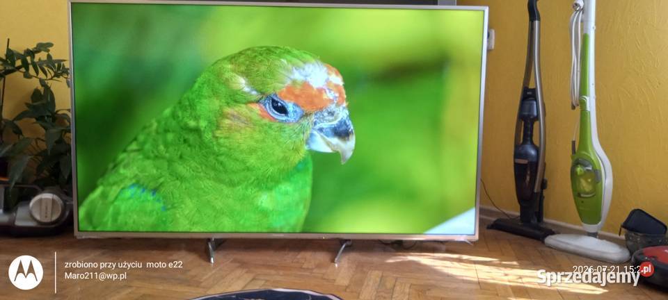Panasonic TX65EXW734 Smart HDR 4K Lubsko
