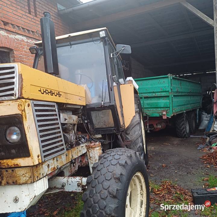 Ursus 904 wielkopolskie sprzedam