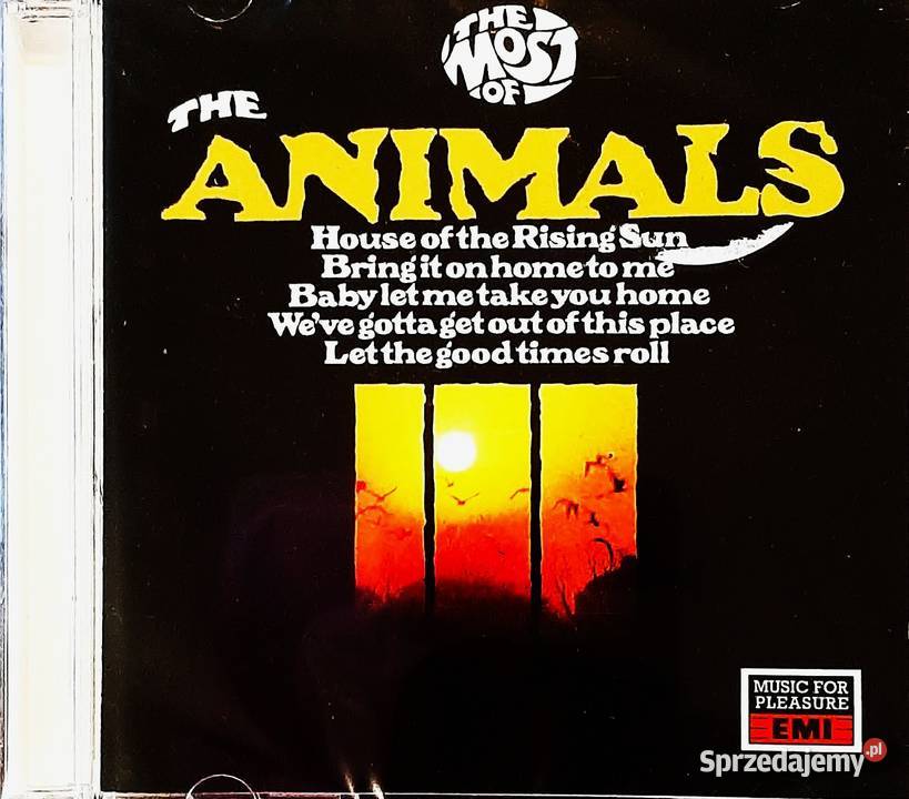 CD Nowa Kultowy Album CD The BEACH BOYS 20 Great Bydgoszcz