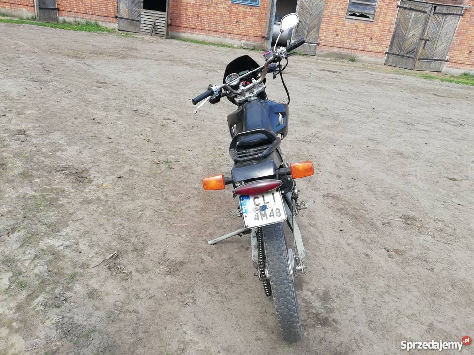 Cross chińczyk Żychlin