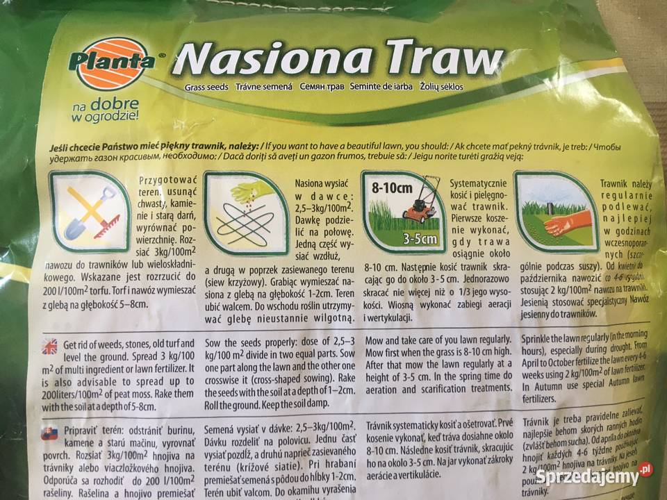 Planta 5 nasiona Trawnik wolno rosnący 200 m kw