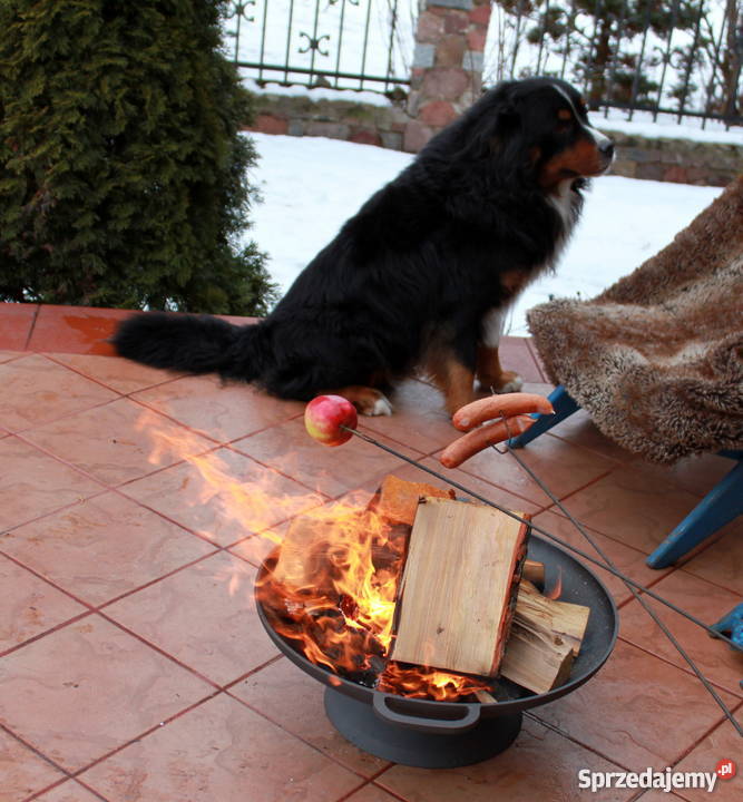 komplet palenisko ogrodowe kociołek 9 l żeliwne Gołdap sprzedam