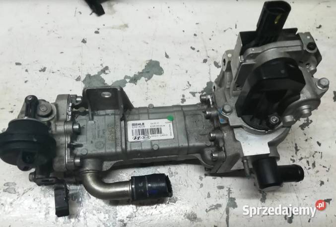 Chłodnica Spalin Hyundai Kia 17 CRDI 284202A610 świętokrzyskie Suchedniów