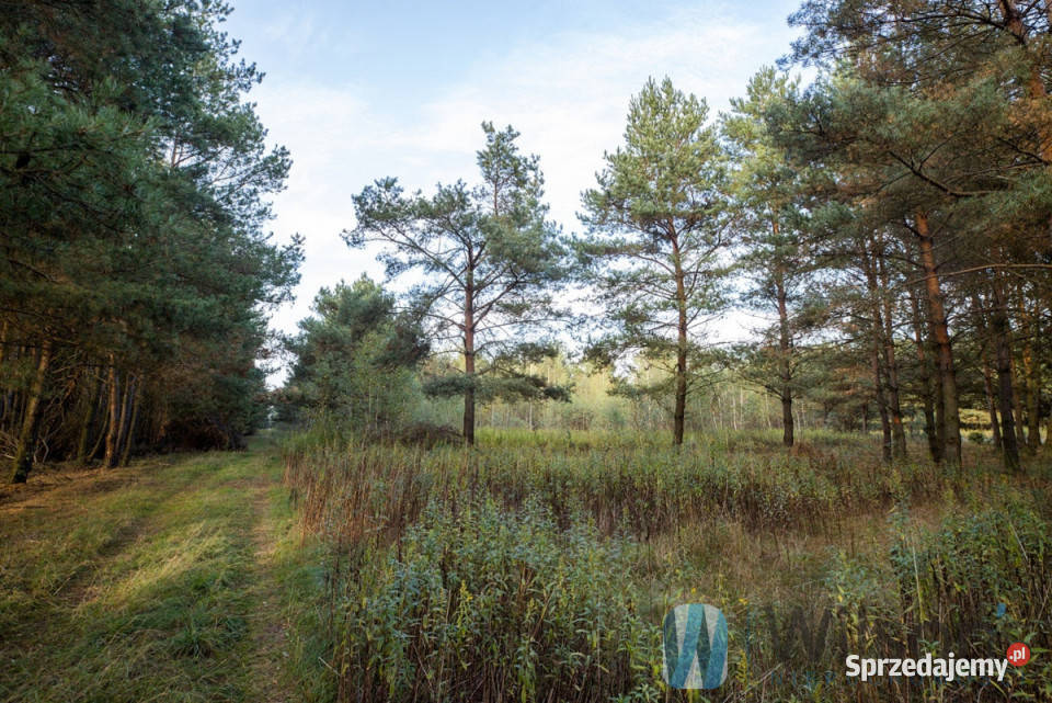 sprzedaży działki 3000m2 Czosnów Cząstków 72m