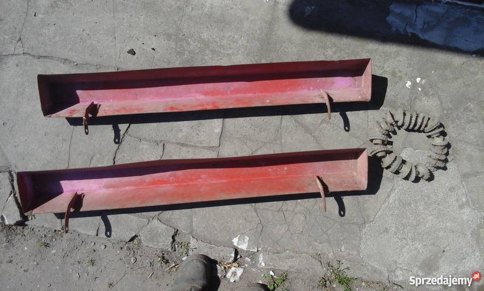 Siewnik poznaniak nie amazone nordsten hassia Mogilno