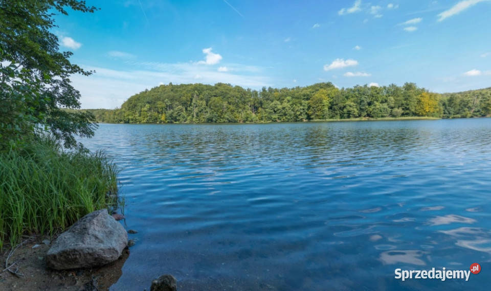 Działki budowlane z WZ na domy jednorodzinne Robuń
