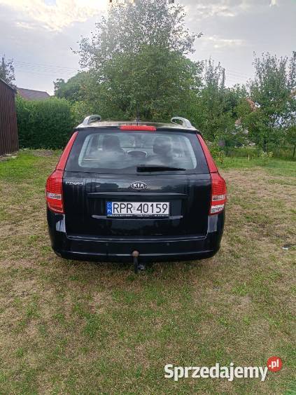 Kia ceed Polkowice