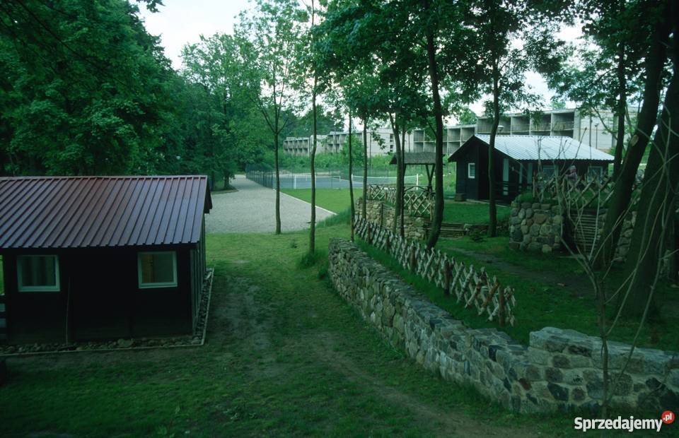 Działka na sprzedaż zachodniopomorskie Moryń 32300m2 Gądno