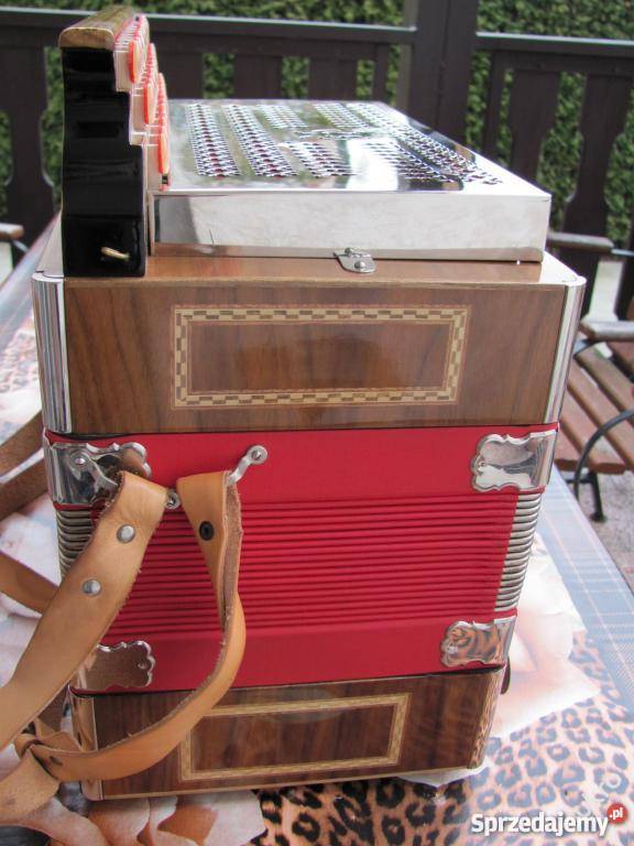 Harmonia guzikówka Hlavacek idealny stan żywiec Żywiec