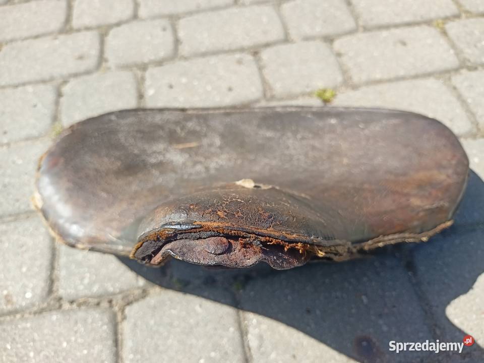 Harley WLA Knucklehead ELC UA Bydgoszcz