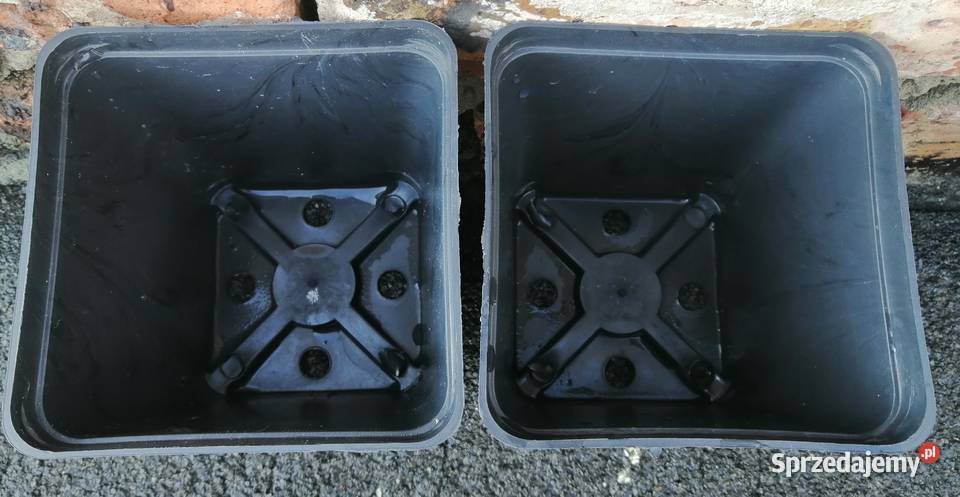 Doniczki produkcyjne P13 13x13x13 135L NOWE Siewierz sprzedam