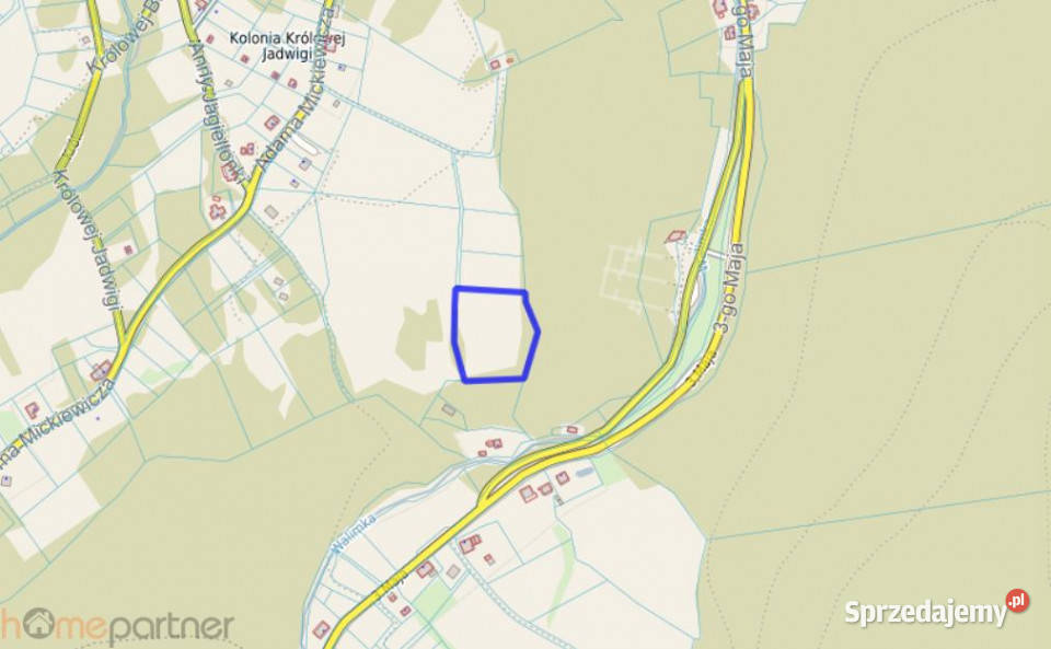 Działka do sprzedania 9600m2 Walim