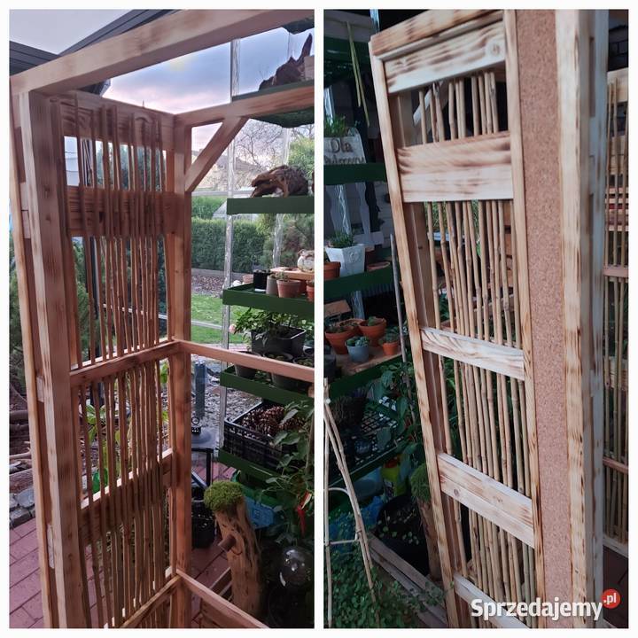 Piękne terrarium kameleon żółwia jeżaagamy