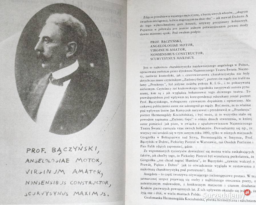 Zielona Gęś Konstanty Ildefons Gałczyński