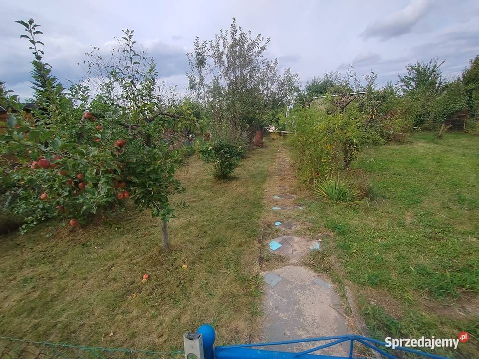 Sprzedam Działkę ROD Biedronka 4 ary Lubin