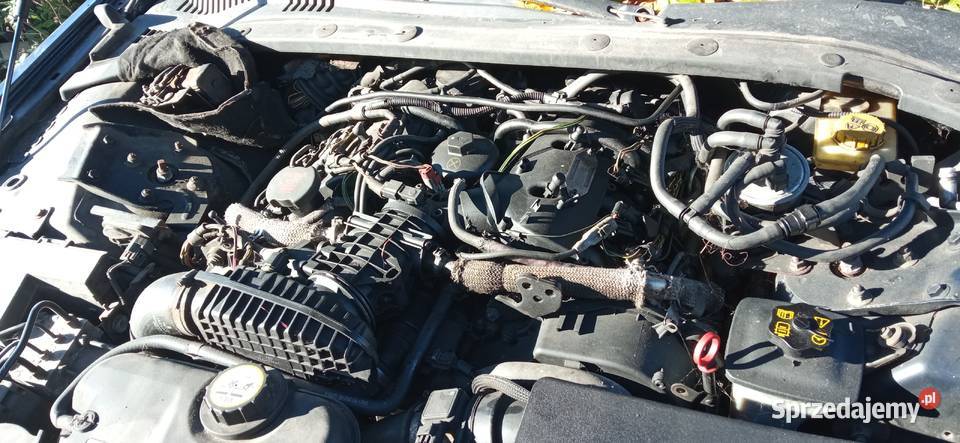 Jaguar s type 27 diesel części Radzyń Podlaski sprzedam