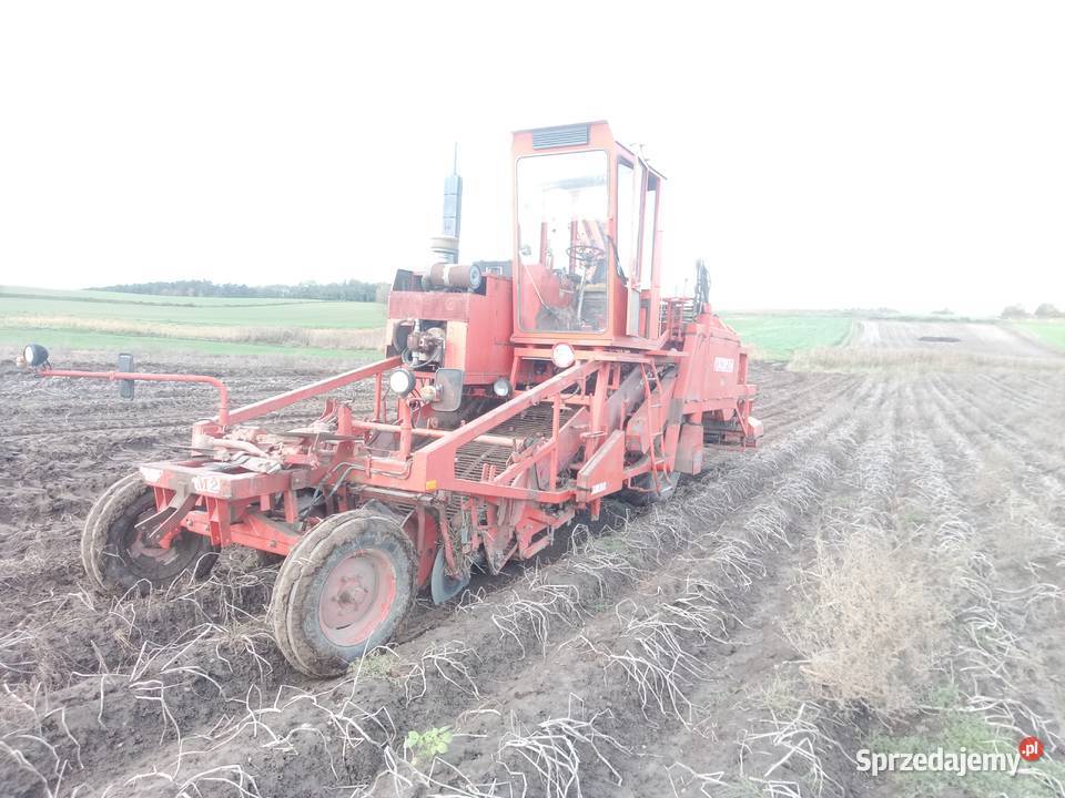 Amac Zm 2 kombajn do ziemniaków samojezdny Bytom Odrzański