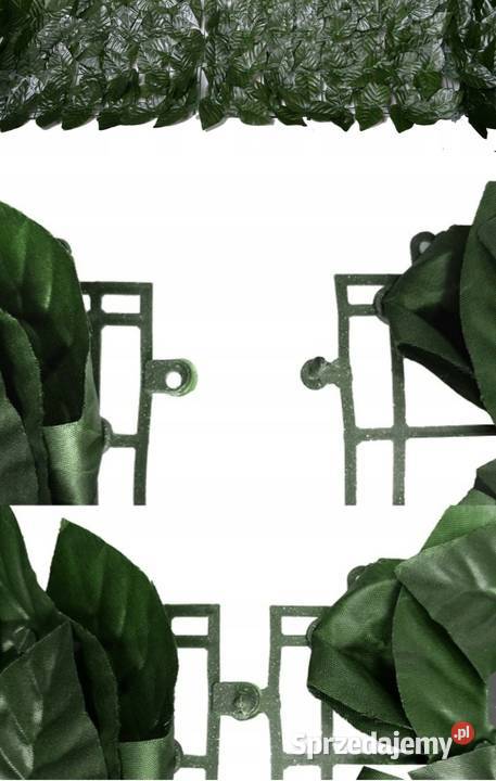 Żywopłot sztuczny bluszcz 3m x 50 Trytytki Warszawa