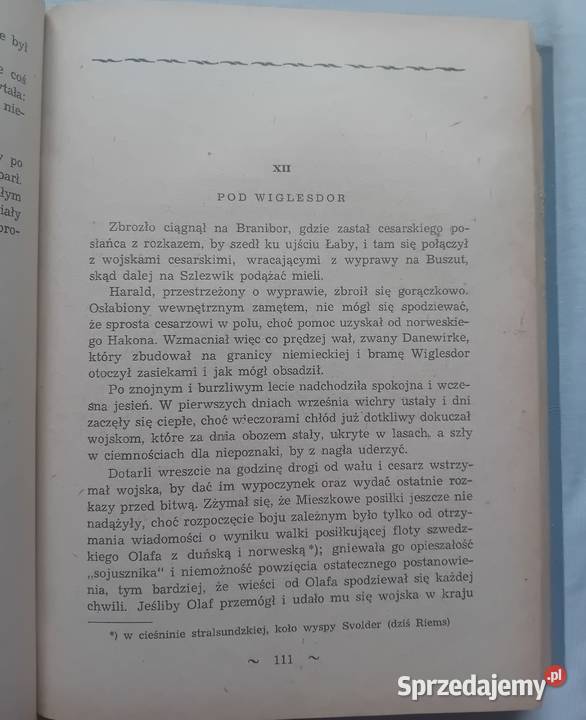 Karol Bunsch Ojcie c i syn 2 tomy w 1 Wydawn Koźminek