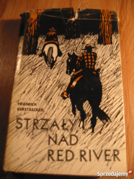 Książki młodzierzy złotówkę sztuki Pozostałe Książki i Podręczniki Gliwice