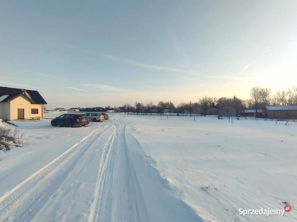 sprzedaży działki 2397 metrów Wojciechów