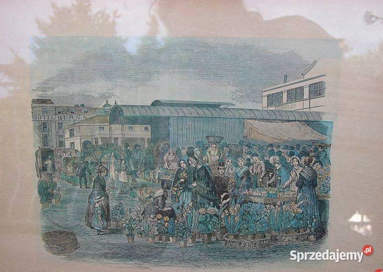 obrazy obraz kwiaty i inne tanio Gorzów Wielkopolski