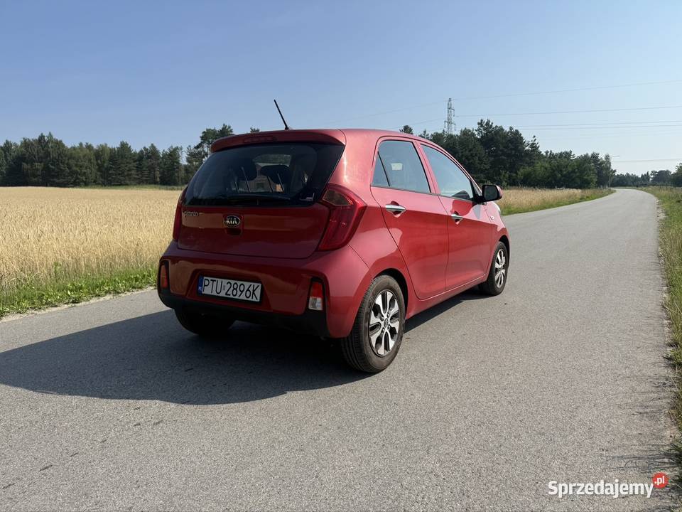 Kia picanto 10 benzyna 90 tysięcy przebiegu Turek