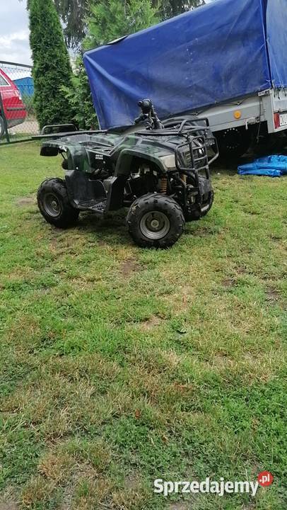 Quad Kingway Minitraper Ożary