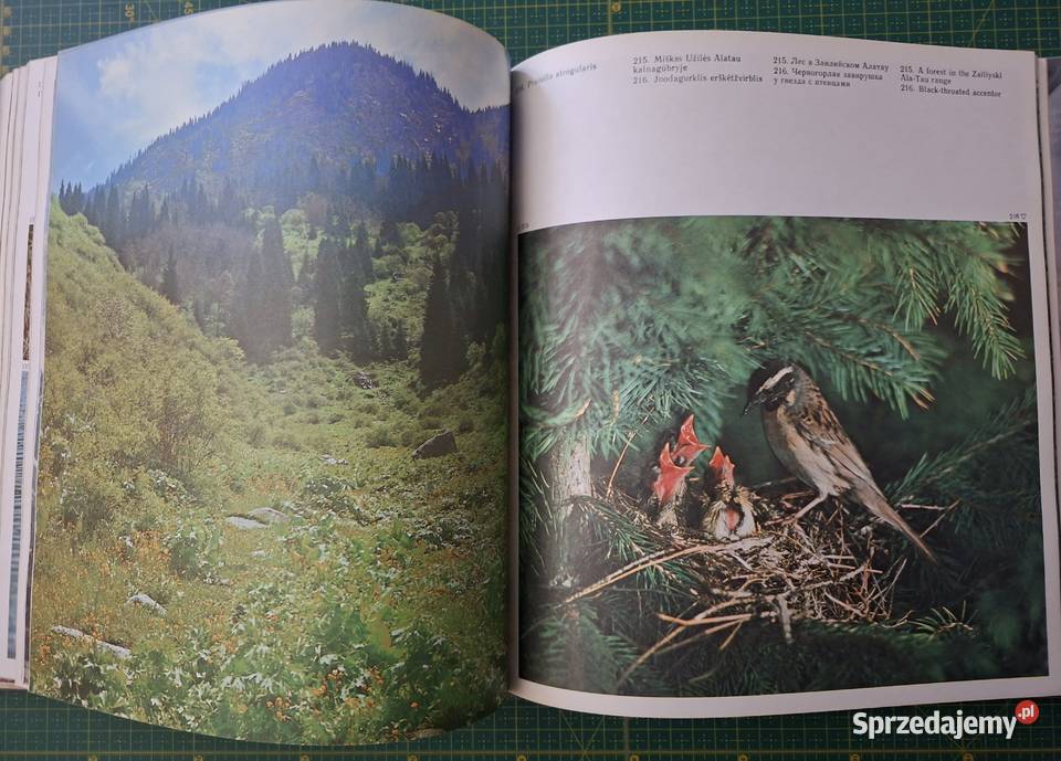 Sparnuociu Pasaulyje In the World of Birds Kraków