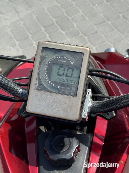 Quad Buganda Jingling Lasowice Małe