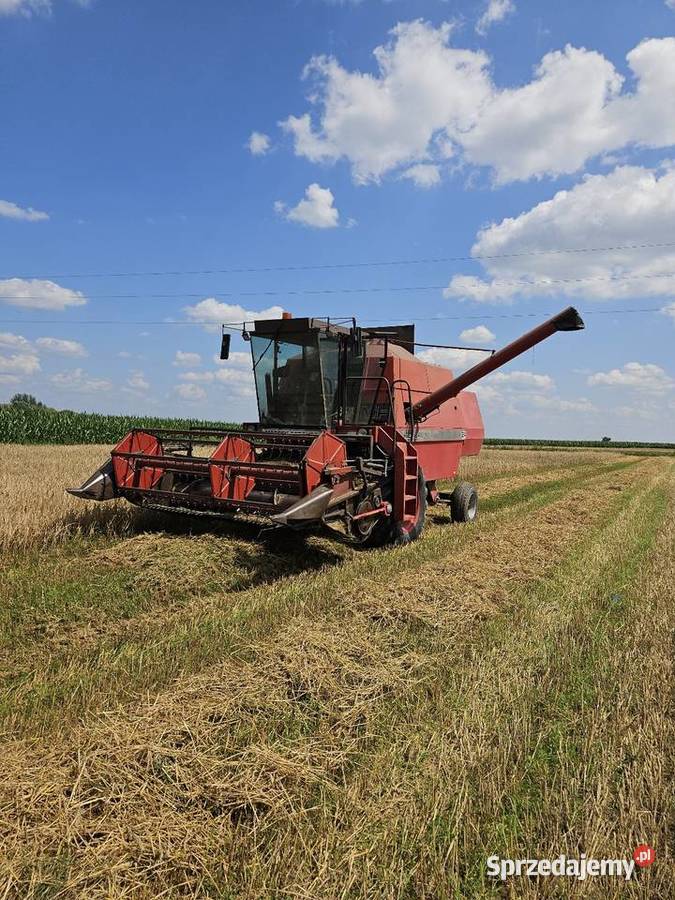 Kombajn Massey Ferguson MF24 dronningborg d4500 Zbożowe Tykocin