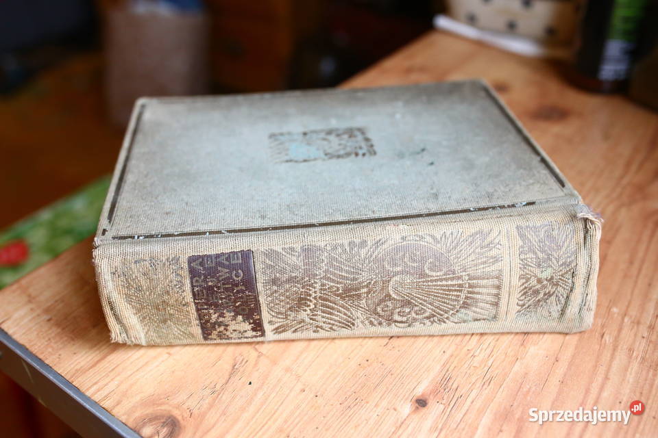 Malarstwo w Polsce XIX do XX wieku Feliks Kopera Gdańsk