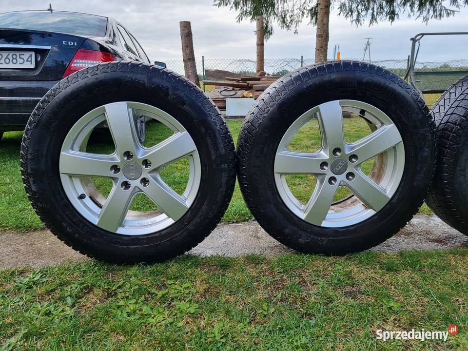 Kola zimowe Audi Q5 Krypno Kościelne