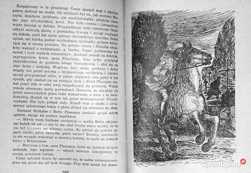 Szpieg Opowieść o ziemi niczyjej James Fenimore Chełm