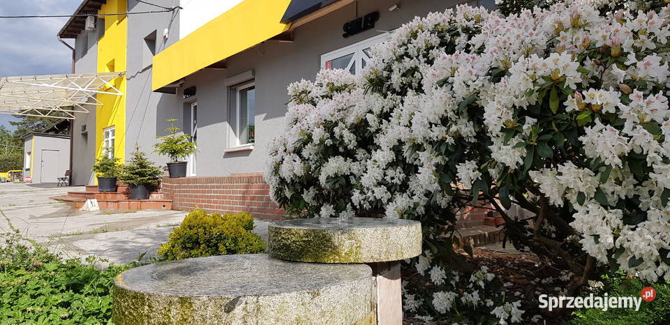 jeczmień worki 25 luz big bag Ligota Turawska