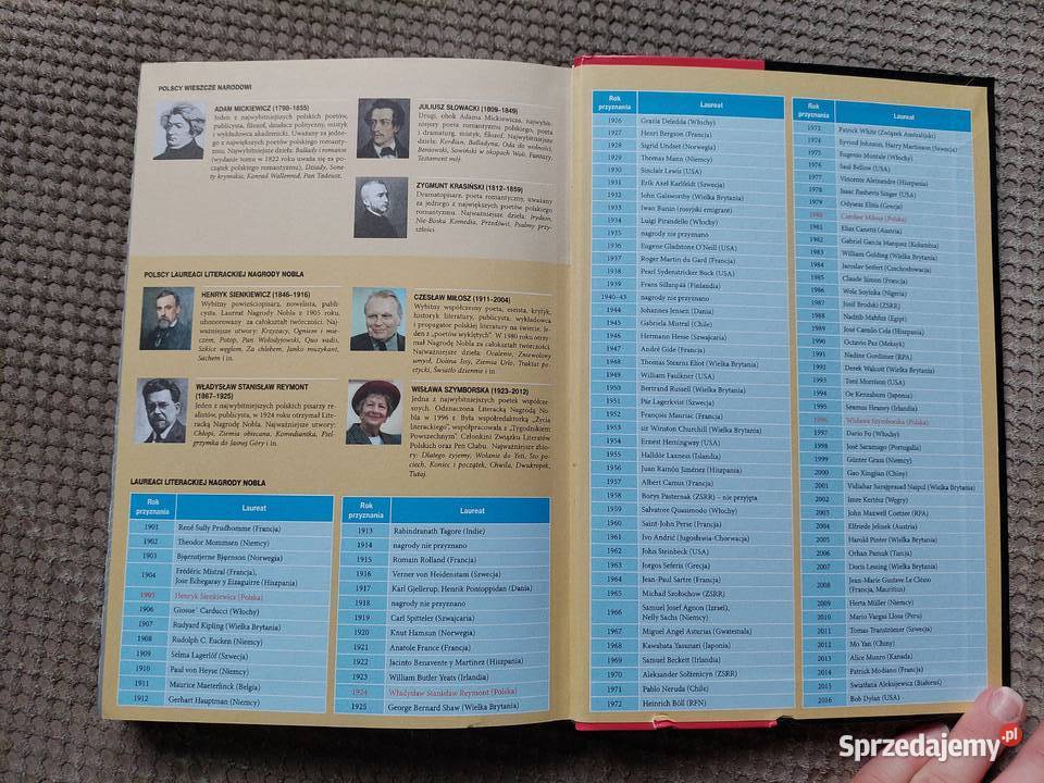 MATURA język polski vademecum Kraków sprzedam