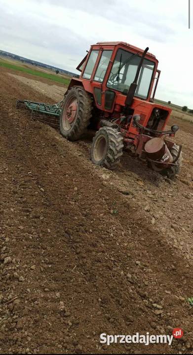 Mtz Wilkołaz Pierwszy