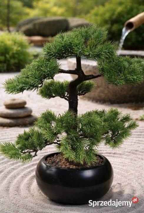 Sztuczny Modrzew Bonsai Larch 60 w ceramicznej łódzkie Pabianice