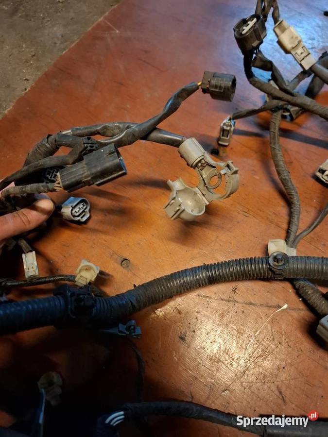 Wiązka instalacja elektryczna silnika skrzynka osobowe Przyborów