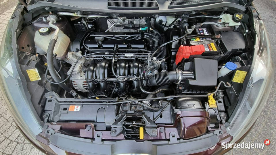 Ford Fiesta Super stan Alu Prosty Silnik Fiesta Płońsk