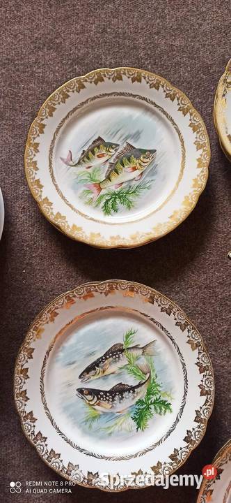 Talerz z Slserwisu do serwowania ryb Na 6 osób Porcelana i szkło Gdańsk