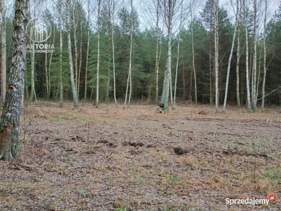 Działka Tarnopol Mostki 960m2 Sprzedaż Bołtryki