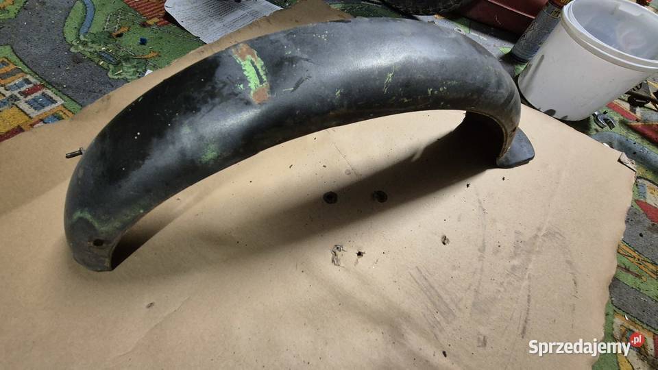 Komar błotnik Hryniewicze