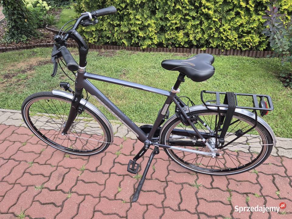 Rower Gazelle Ultimate C11 Alfine 11 Rama H53