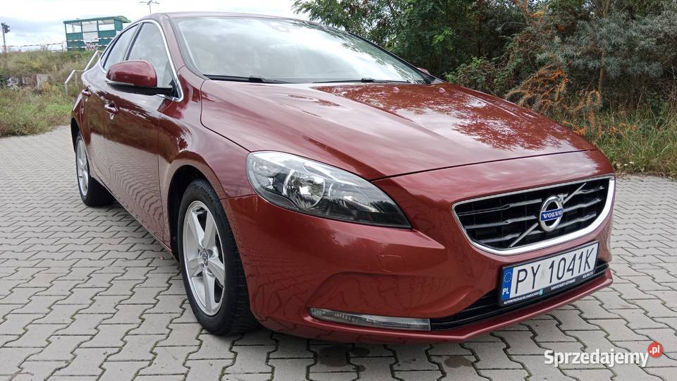 Carpass Navi Zarejestrowany Poznań