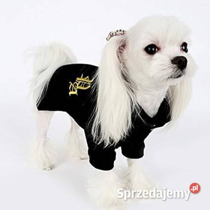 4XL Puppy Angel Koszulka polo psa czarna Szczerbice