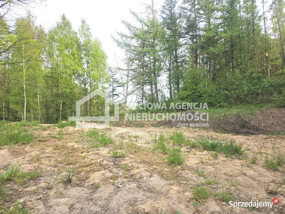 sprzedaży gruntu Sierakowice 1173m2