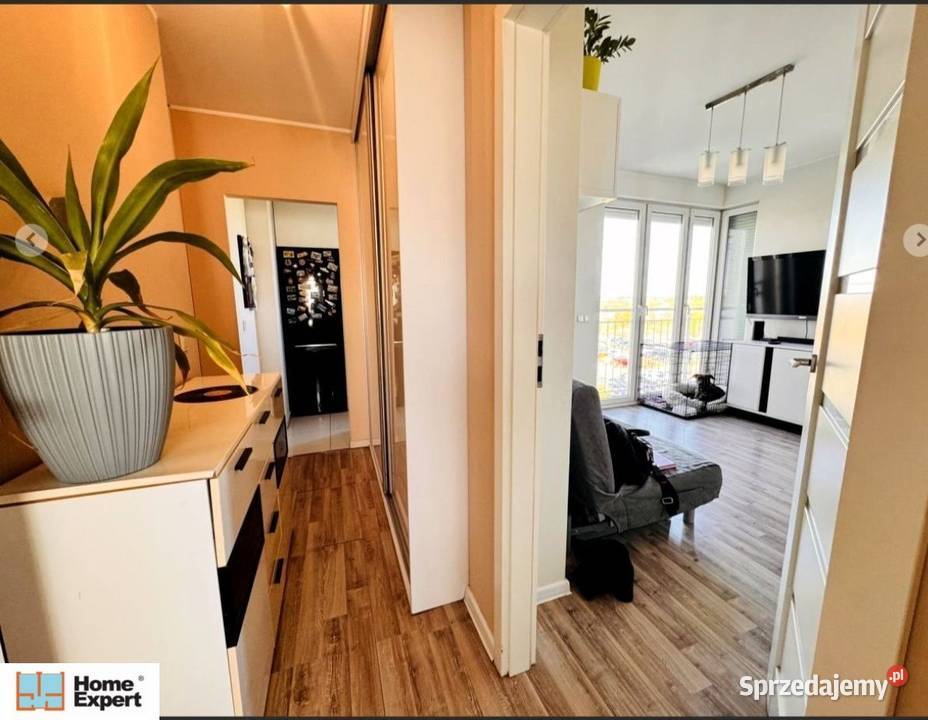 2pok 41met Ogórkowej NOWE2015BALKON Wrocław