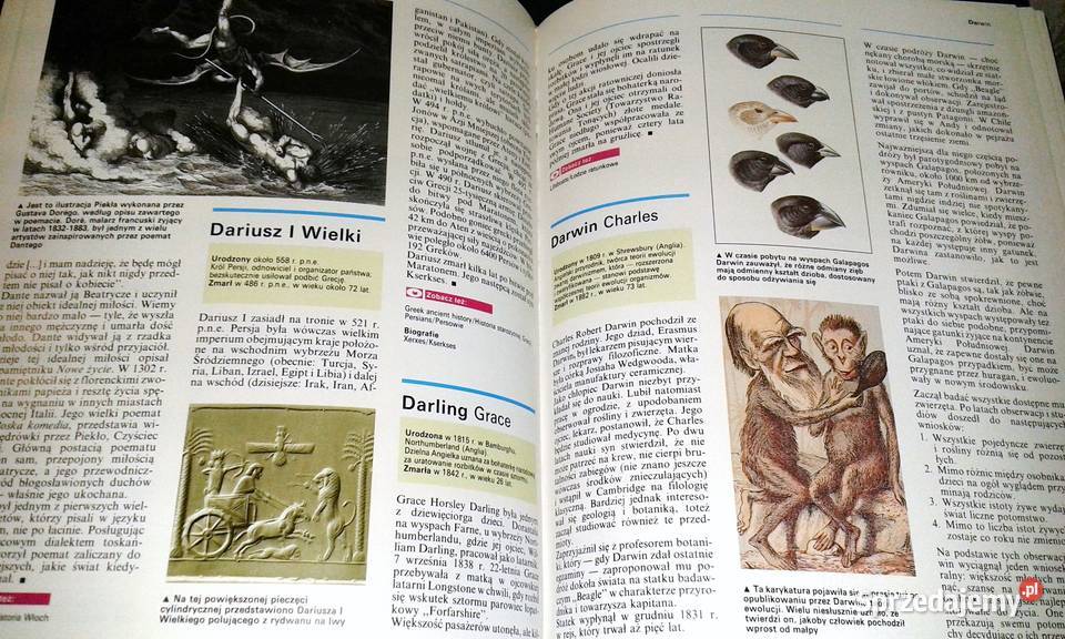 Oxford Encyklopedia szkolna Tom 6 Biografie twarda Chełm